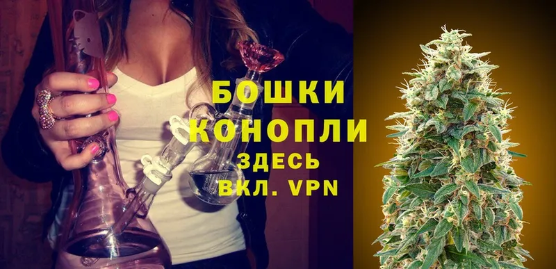 Канабис SATIVA & INDICA  мориарти официальный сайт  Малая Вишера  купить наркоту 